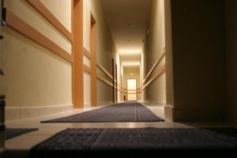 City Hostel Bratislava Extérieur photo